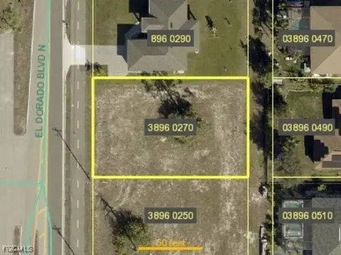 Vacant Land in Cape Coral