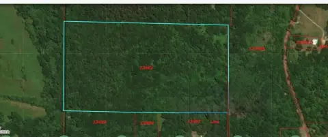 35 Acres of Unimproved Land
