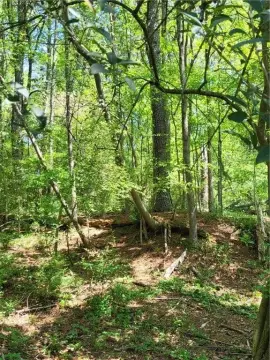 Unique Atlanta Land Parcel