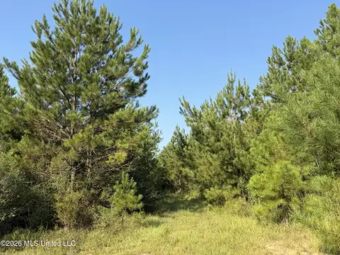Creekfront Land Tract