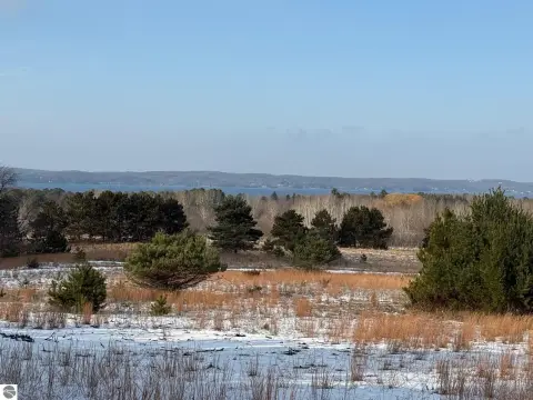 23 Acres with Torch Lake Views