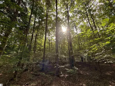 Interlochen 10-Acre Wooded Parcel
