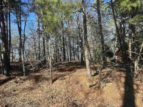 Residential Lot in Hot Springs