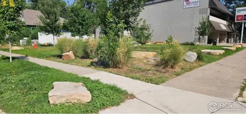 Downtown Berthoud Commercial Land