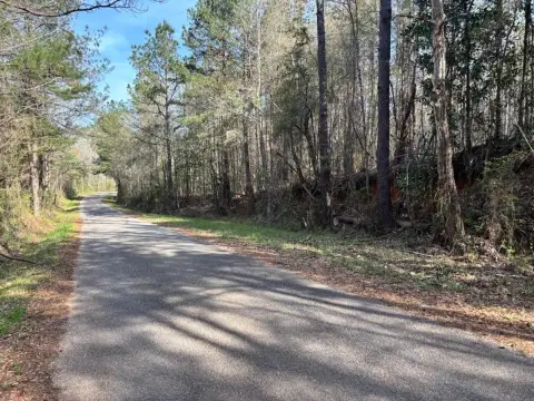 Pine Hunting Land with Creek