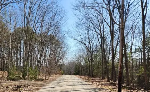 Wooded Lot Near Damariscotta Lake