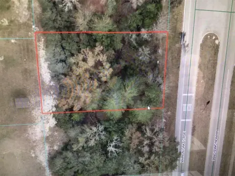 Land Near Marion Oaks