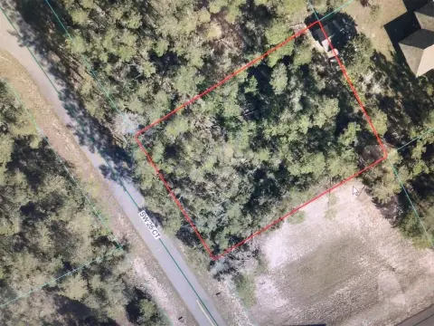 OCALA, FL - Half Acre Land