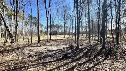Residential Lot in Cassatt, SC