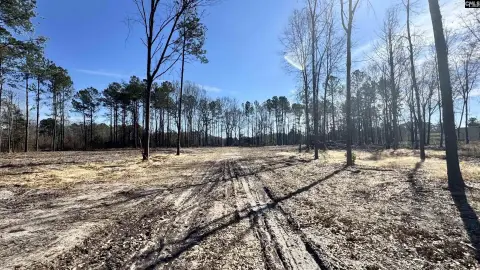 Cassatt, SC Acreage Lot