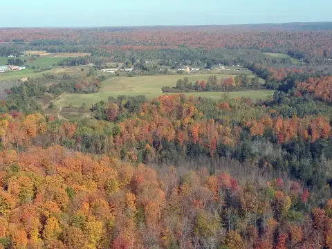 Wooded Hunting Land