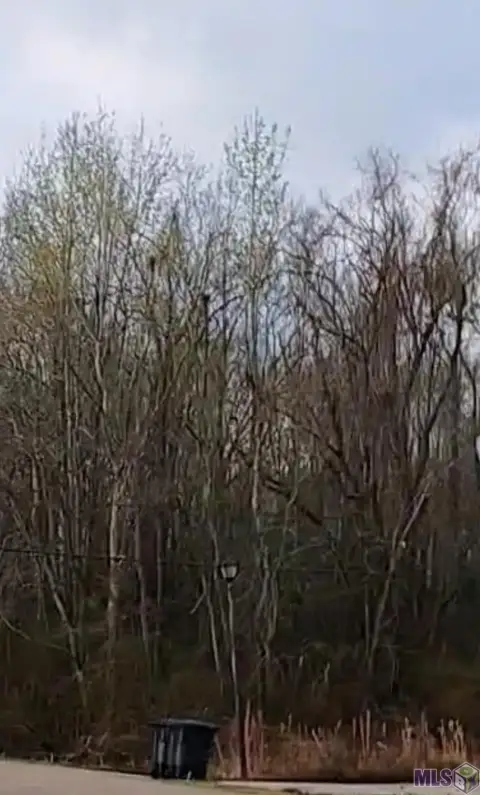 Residential Land in Baton Rouge