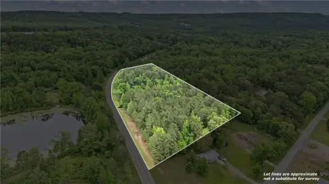 Timber Land with Highway Frontage