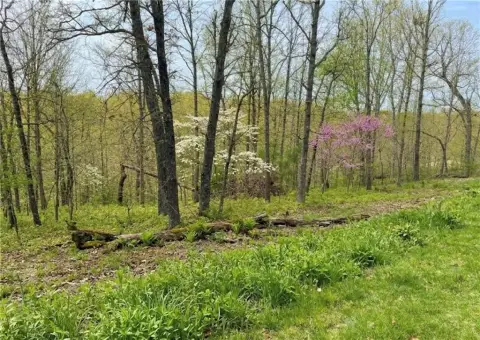 Large Homesite in Bella Vista