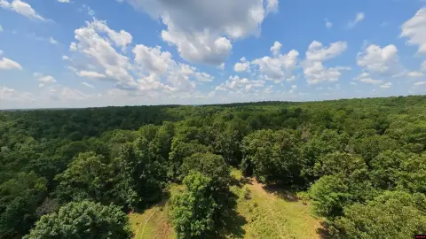 Wooded Hunting Land with Creek Frontage