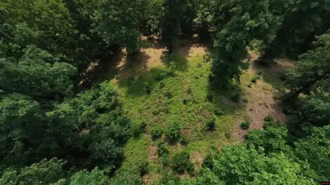 Hunting Land with Janes Creek