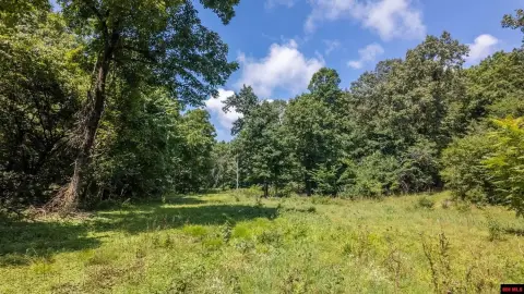 Wooded Hunting Tract with Creek