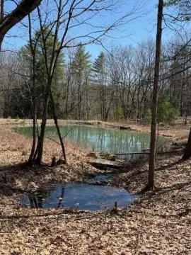 Augusta Land with Extensive Trails