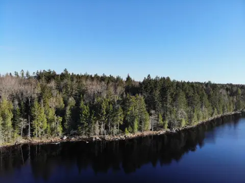 Waterfront Land with Pond Frontage