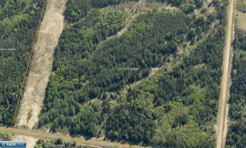 Wooded Hunting and Recreation Acreage