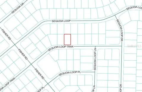 Vacant Land in Ocklawaha, FL