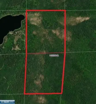 Heavily Wooded Hunting Land