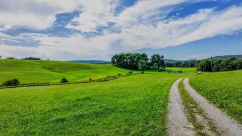 Agricultural Land with Timber