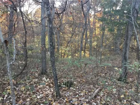 Wooded Lot in Rogers, AR