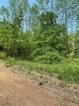 Land For Sale in Rogers