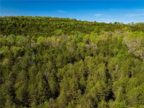 Gently Sloped Hunting Recreation Land
