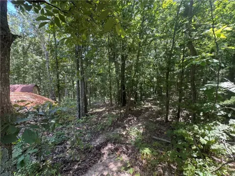 Wooded Residential Lot with Utilities