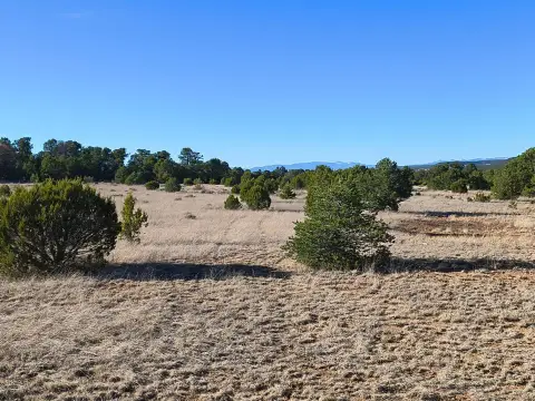 Rural Residential Home Site