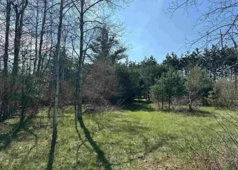 38 Acres of Wooded Seclusion