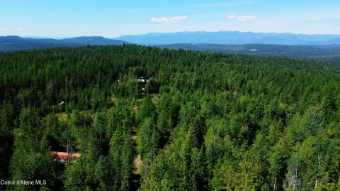 5 Acres Timbered Land Sandpoint