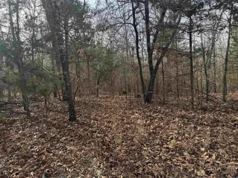 Level Acreage Near Bull Shoals