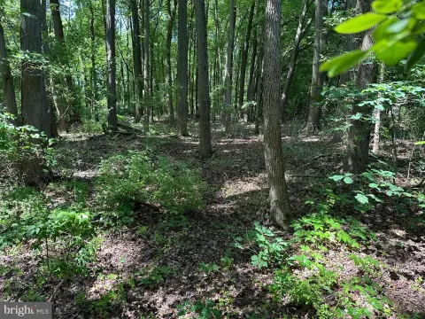 Land For Sale in STEVENSVILLE