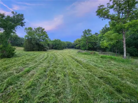 Recreational Acreage with Pasture