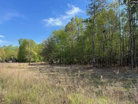 Undeveloped Land Near Farmers Market