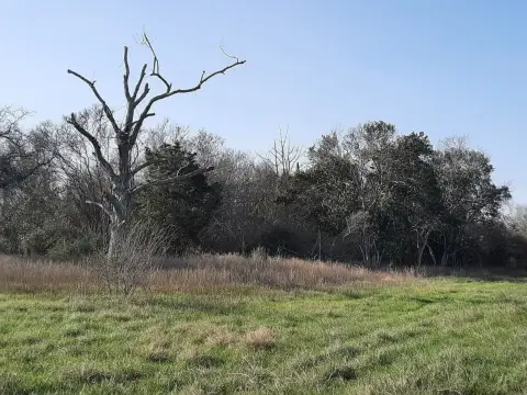 Hallettsville Land for Sale