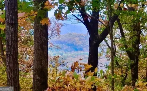 Ellijay, GA Acreage For Sale