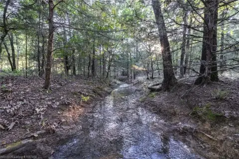 Secluded Land with Natural Spring