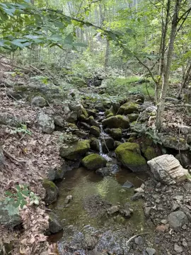 Mountain Recreation Land