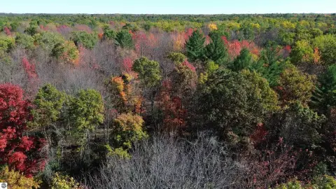Wooded Acreage Near Rifle River