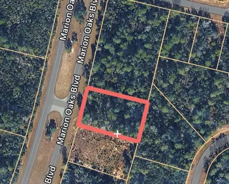 Ocala Land Multifamily Development Opportunity