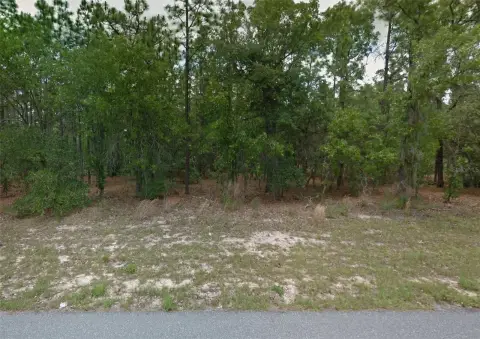 Residential Lot in Citrus Springs
