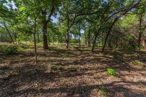 Nemo, TX Homesite Opportunity