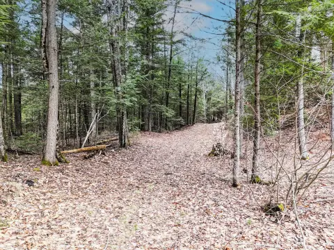 Wooded Residential Lot
