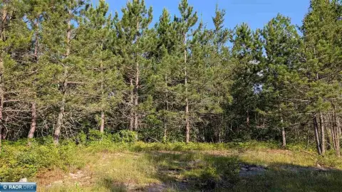 Recreational Land Parcel with Forest