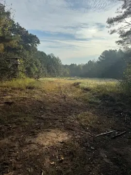 22.5 Acres in Taylor, MS