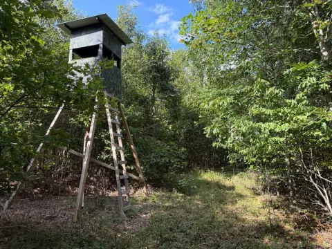 Hunting Land with Food Plots